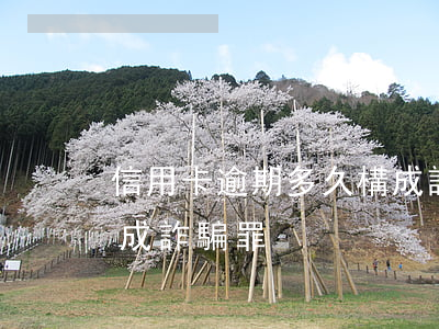 信用卡逾期多久構成詐騙罪(欠信用卡多少構成詐騙罪)