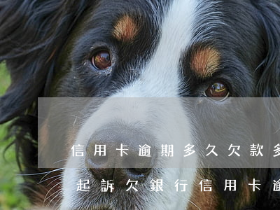 信用卡逾期多久欠款多少就會(huì)被起訴(欠銀行信用卡逾期多久會(huì)被起訴)