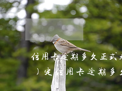 信用卡逾期多久正式起訴(今年新規(guī)定信用卡逾期多久會(huì)起訴)