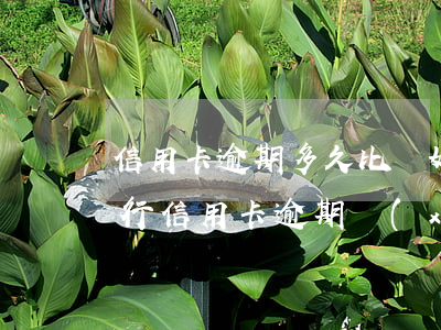 信用卡逾期多久比較好協(xié)商(各銀行信用卡逾期協(xié)商政策)