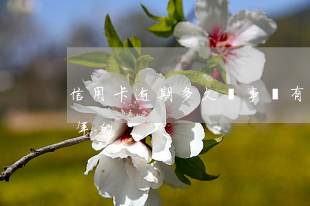 信用卡逾期多久沒事兒 有沒有信用卡逾期幾年的