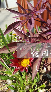 信用卡逾期多久沒還(信用卡逾期多久沒還會(huì)上門)