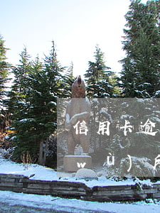 信用卡逾期多久法務(wù)部(律師事務(wù)所催收信用卡逾期流程)