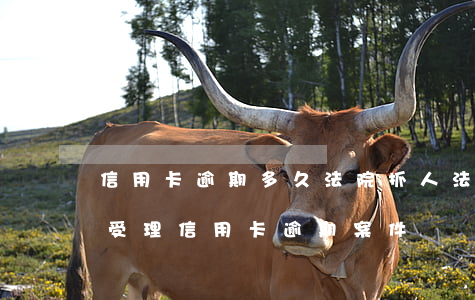 信用卡逾期多久法院抓人(法院會(huì)受理信用卡逾期案件嗎)