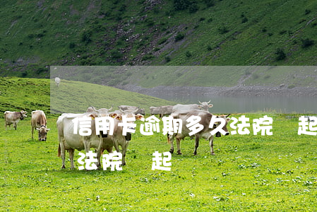 信用卡逾期多久法院會起訴(信用卡逾期多久法院會起訴)