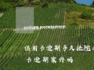 信用卡逾期多久法院来传票(法院会受理信用卡逾期案件吗)