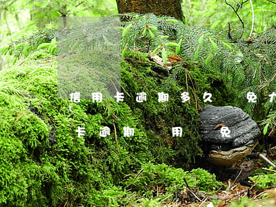 信用卡逾期多久減免力度大(怎樣和銀行信用卡逾期費用減免)