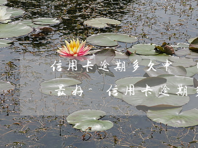 信用卡逾期多久申請(qǐng)停息掛賬最好-信用卡逾期多久申請(qǐng)停息掛賬最好呢
