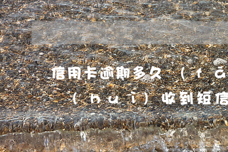 信用卡逾期多久發(fā)信息(信用卡逾期會(huì)收到短信通知嗎)