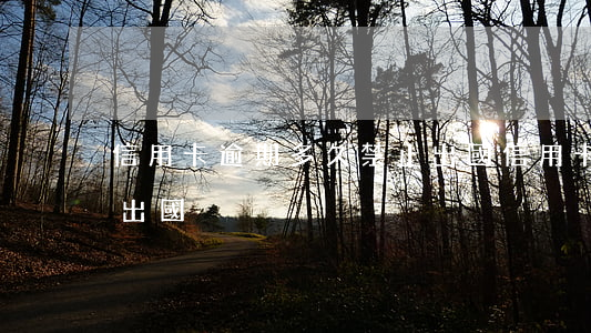信用卡逾期多久禁止出國(信用卡逾期能不能出國)