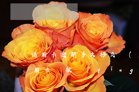 信用卡逾期多久移交經(jīng)偵(欠信用卡會被經(jīng)偵隊抓嗎?)