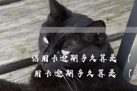 信用卡逾期多久算是進(jìn)黑名單(信用卡逾期多久算是進(jìn)黑名單)