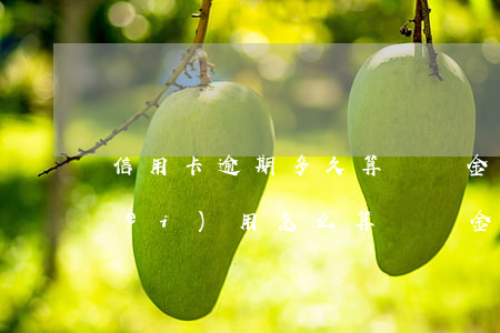 信用卡逾期多久算滯納金(信用卡逾期費(fèi)用怎么算滯納金)