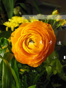 信用卡逾期多久算逾期(信用卡逾期幾個(gè)小時(shí)算逾期嗎)