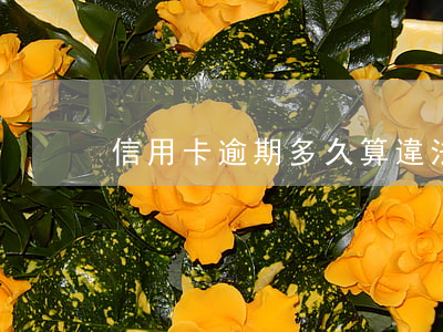 信用卡逾期多久算違法 信用卡 逾期 幾天