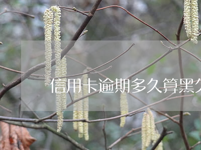 信用卡逾期多久算黑欠(信用卡逾期判多久)