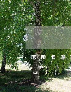 信用卡逾期多久經(jīng)偵大隊(duì)會(huì)立案(欠信用卡會(huì)報(bào)經(jīng)偵嗎)