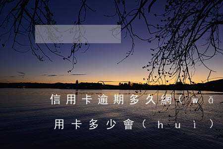 信用卡逾期多久網(wǎng)上追逃(欠信用卡多少會(huì)被網(wǎng)上追逃)