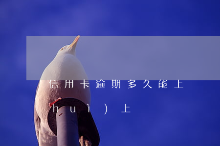 信用卡逾期多久能上門(銀行卡逾期多久會(huì)上門)