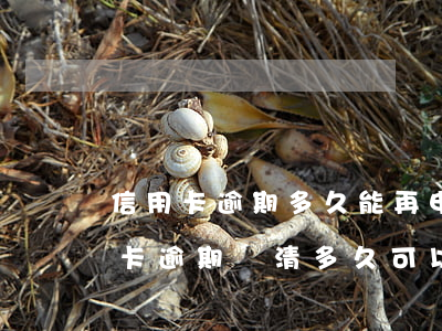 信用卡逾期多久能再申請(qǐng)(信用卡逾期還清多久可以辦信用卡)