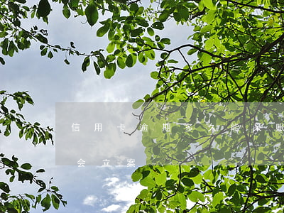 信用卡逾期多久能呆账(欠信用卡逾期几个月会立案)
