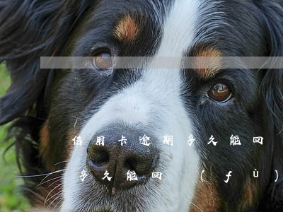 信用卡逾期多久能回復(fù)(信用卡逾期多久能回復(fù)征信)