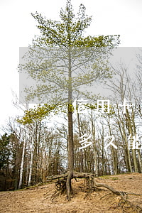 信用卡逾期多久能帮别人担保-信用卡逾期多久能帮别人担保