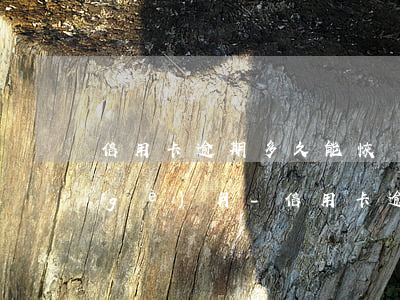 信用卡逾期多久能恢復(fù)征信四個(gè)月-信用卡逾期多久能恢復(fù)征信四個(gè)月的記錄