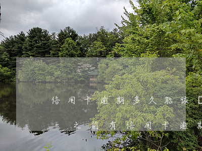 信用卡逾期多久能恢復(fù)征信四個月-之前有信用卡逾期多久可以恢復(fù)征信