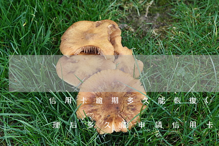 信用卡逾期多久能恢復(fù)正常(逾期處理后多久能申請信用卡)