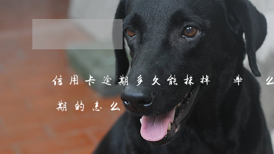 信用卡逾期多久能抹掉幾率(這么多信用卡逾期的怎么辦)