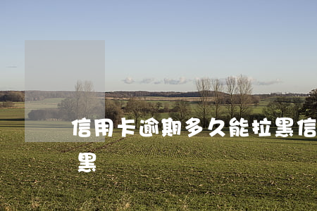 信用卡逾期多久能拉黑(信用卡逾期多久能拉黑)