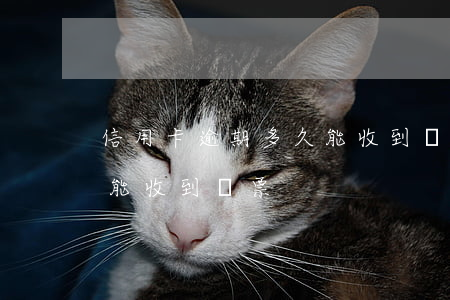信用卡逾期多久能收到傳票(信用卡逾期多久能收到傳票)