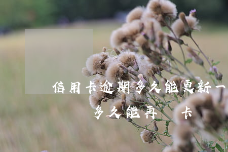 信用卡逾期多久能更新一次(信用有過逾期記錄過多久能再辦卡)