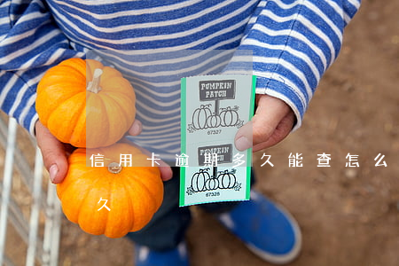 信用卡逾期多久能查(怎么查信用卡逾期了多久)