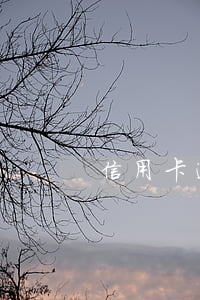 信用卡逾期多久能沒(信用卡 逾期 幾天)