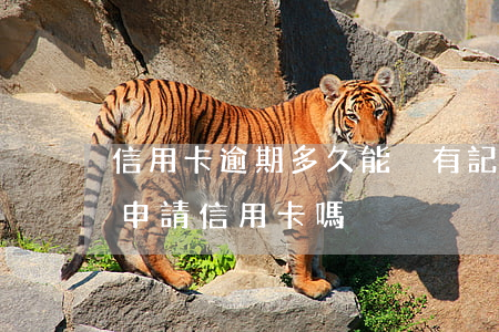 信用卡逾期多久能沒有記錄(有逾期記錄可以申請信用卡嗎)