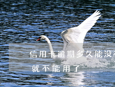 信用卡逾期多久能没有了(信用卡逾期多少天就不能用了)