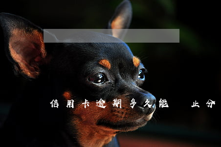信用卡逾期多久能終止分期(信用卡 逾期多久)