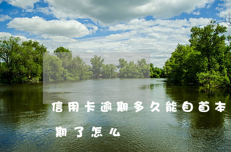 信用卡逾期多久能自首(本人被刑拘信用卡逾期了怎么辦)