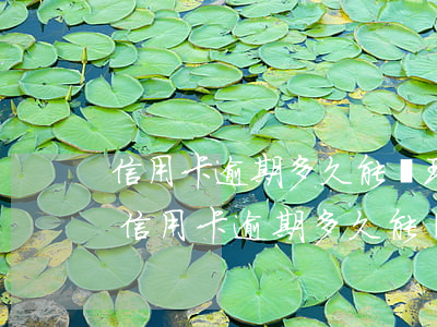 信用卡逾期多久能辦理臨時(shí)額度 信用卡逾期多久能辦理臨時(shí)額度了