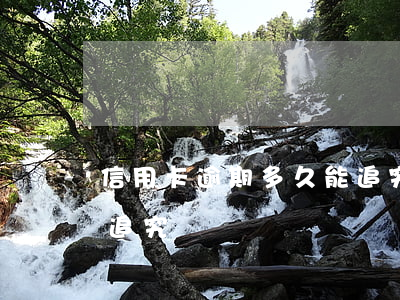 信用卡逾期多久能追究-信用卡逾期多久能追究