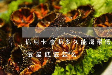 信用卡逾期多久能還最低還款-逾期后可以還最低還款么