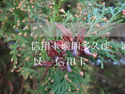 信用卡逾期多久能開通花唄(花唄逾期多久可以辦信用卡)