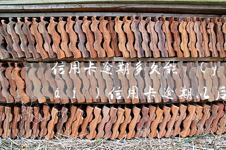 信用卡逾期多久能養(yǎng)回來(lái)(信用卡逾期以后多久能恢復(fù))
