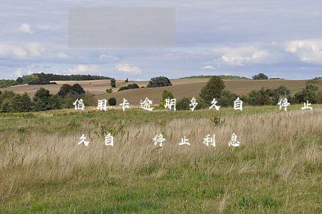 信用卡逾期多久自動停止利息(信用卡逾期多久自動停止利息)