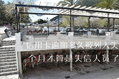 信用卡逾期多久被列入失信人员(信用逾期几个月才算是失信人员了)