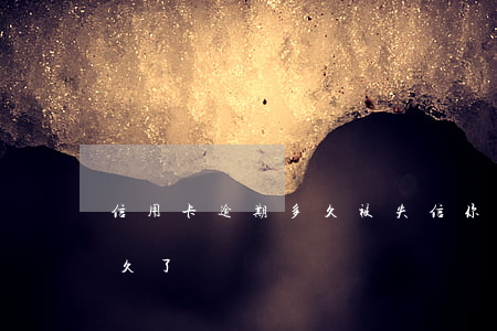 信用卡逾期多久被失信(你們的信用卡逾期多久了)