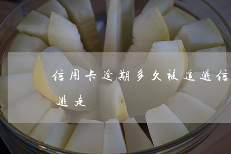 信用卡逾期多久被追逃(信用卡逾期多久被追逃走)
