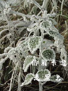 信用卡逾期多久被黑名單(信用卡逾期多少次是黑名單)